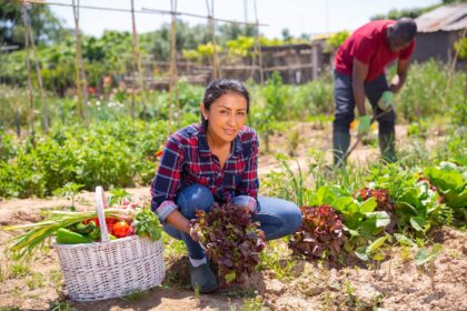 This photo is used to illustrate the large research grant for economic growth. Credit: STEG