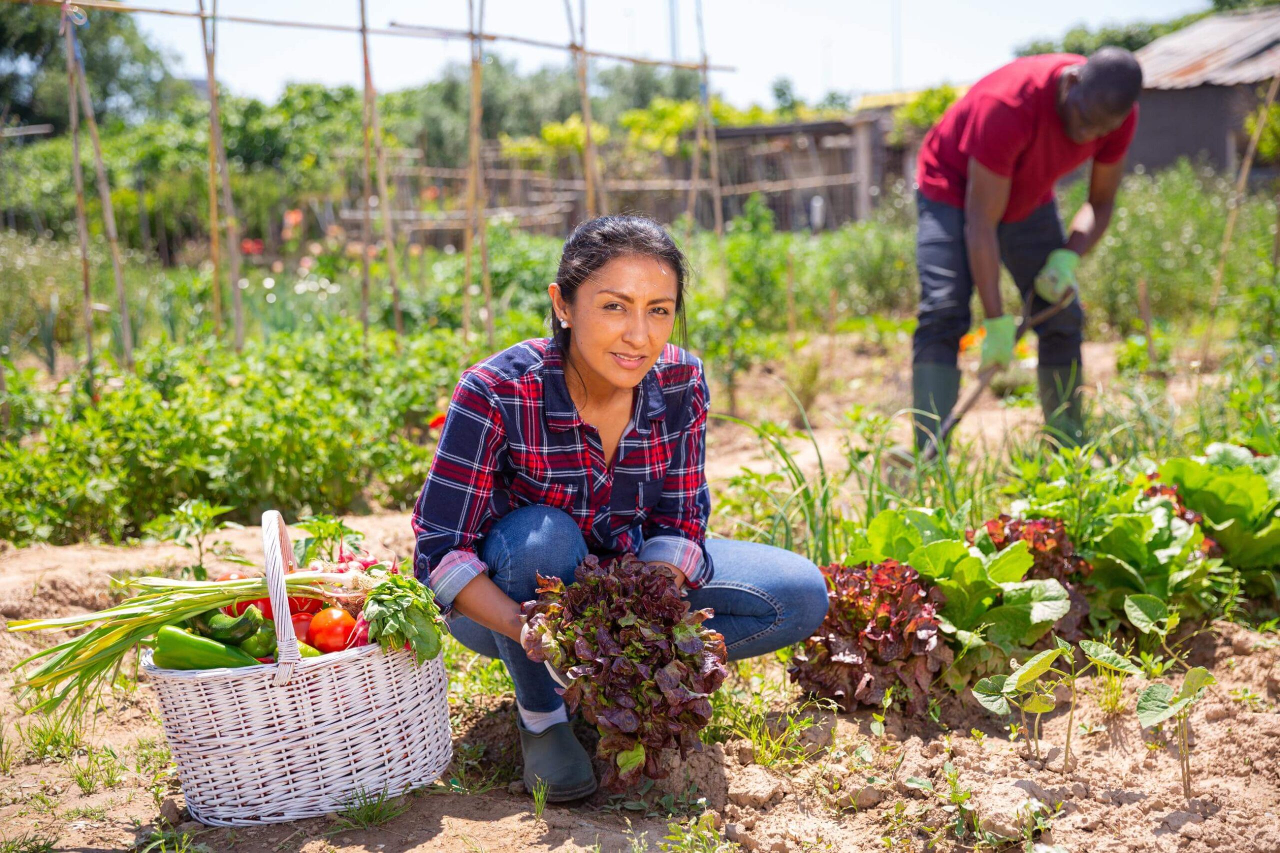 This photo is used to illustrate the large research grant for economic growth. Credit: STEG