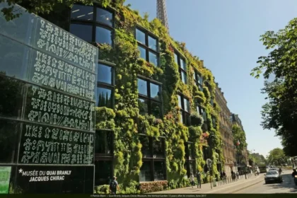 $8,000 residency for sound artists Across Africa, Asia, Oceania & the America