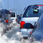 How living near the road harms your health