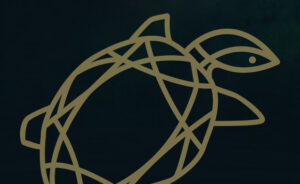 Golden Turtle Wildlife Photography festival