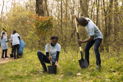 UN calls for youth nature restoration projects