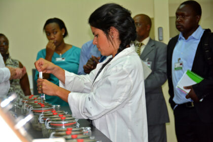 $14,000 research grant for PhD students