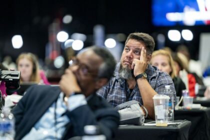 RSF Fellowship for journalists at risk