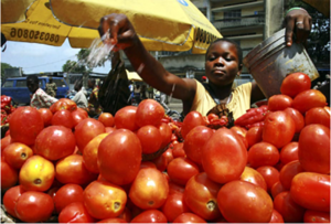 In Nigeria, tomatoes deliver a festive lifeline