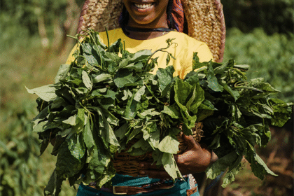 Credit: INCiTiS-FOOD