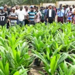 Credit: Akwa Ibom State Government