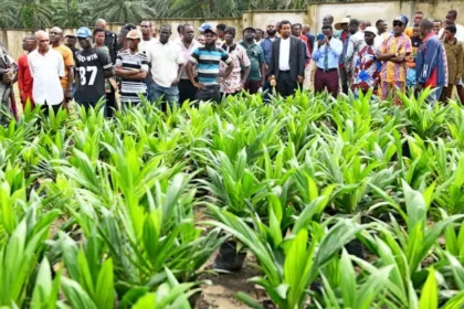 Credit: Akwa Ibom State Government