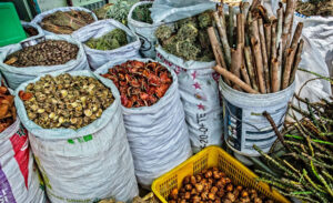 Can Nigeria turn its traditional medicine into a scientific asset?