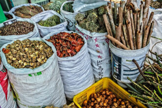Can Nigeria turn its traditional medicine into a scientific asset?