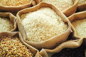 Nigerian rice. Credit: web image