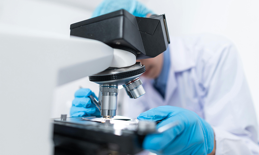 Wellcome Trust seeks ambitious mid-career scientists.