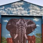 Credit: Culture and Animals Foundation