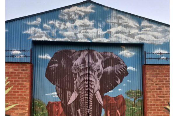 Credit: Culture and Animals Foundation