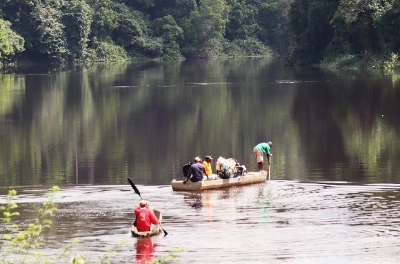 Credit: African Wildlife Foundation