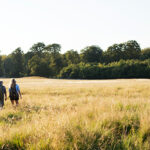 Credit: the Novo Nordisk Foundation