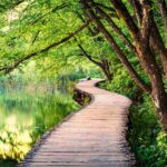 Credit: Blind Travel Foundation