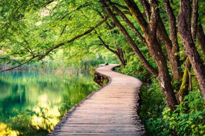 Credit: Blind Travel Foundation