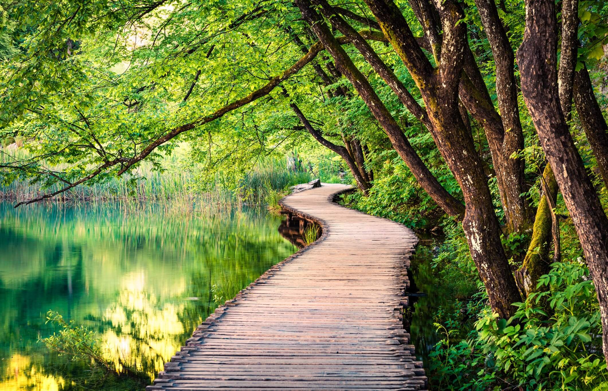 Credit: Blind Travel Foundation