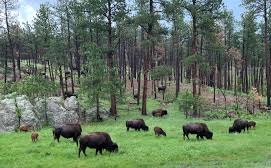 Credit: Rangeland Gateway