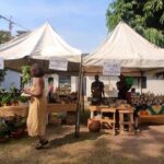 Credit: Institute for the Cooperative Digital Economy