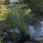 Daylight research: Credit: VELUX STIFTUNG