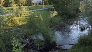 Daylight research: Credit: VELUX STIFTUNG