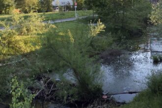 Daylight research: Credit: VELUX STIFTUNG