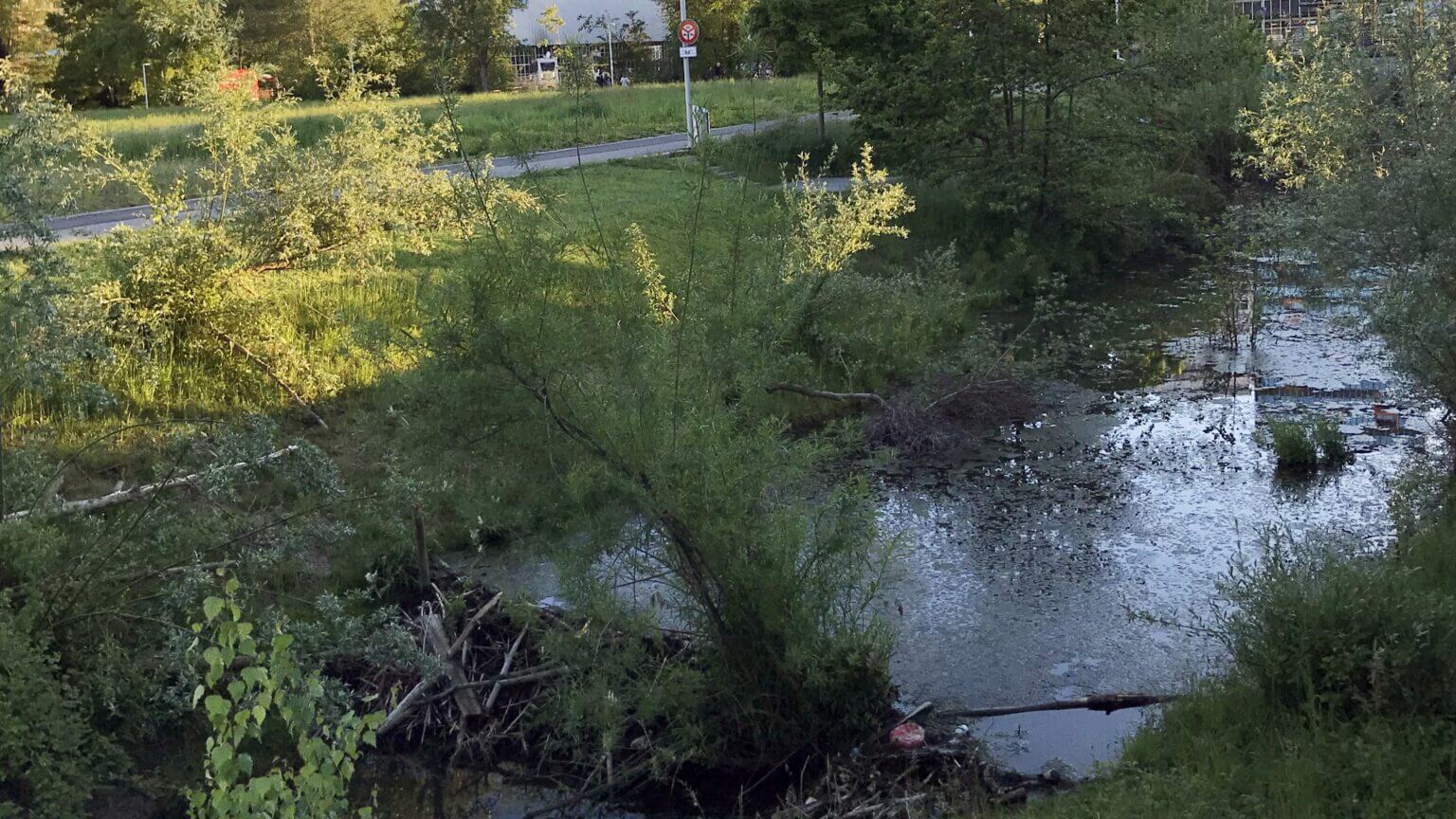 Daylight research: Credit: VELUX STIFTUNG