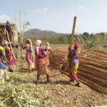 Miller Center Social Entrepreneurs accelerator program