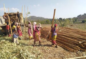 Miller Center Social Entrepreneurs accelerator program