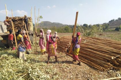 Miller Center Social Entrepreneurs accelerator program