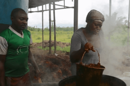 Forest governance crisis crants