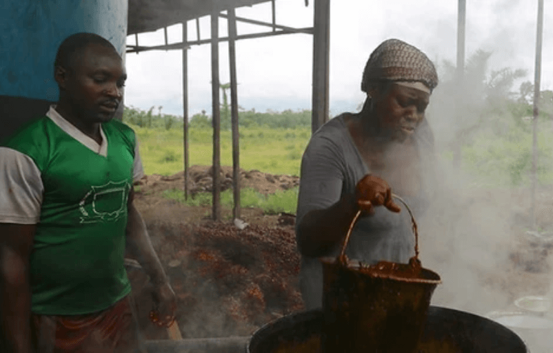 Forest governance crisis crants