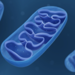 mitochondrial disease research