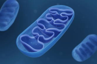 mitochondrial disease research