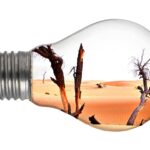 manne1409 environment 2443922 1920