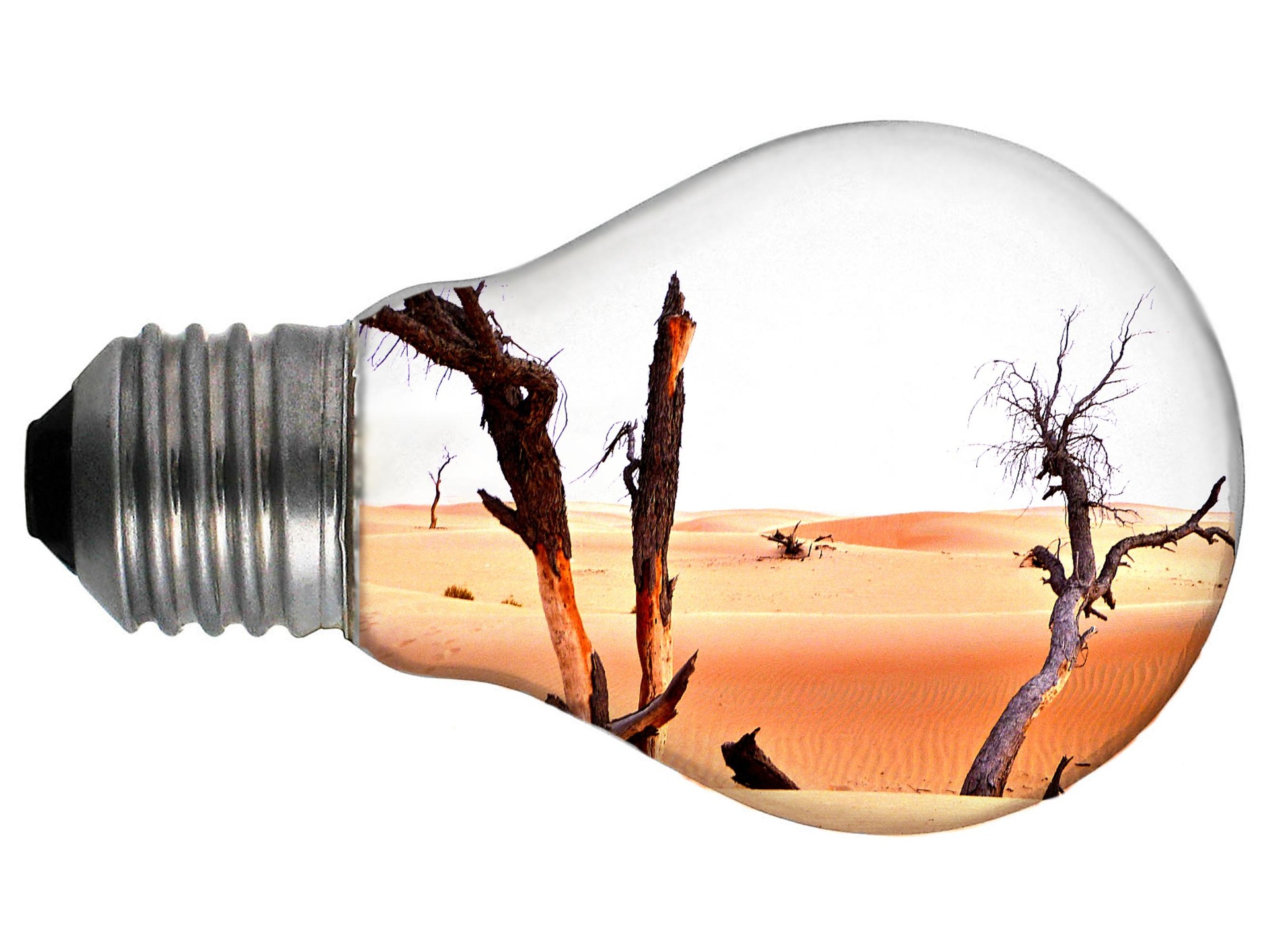 manne1409 environment 2443922 1920